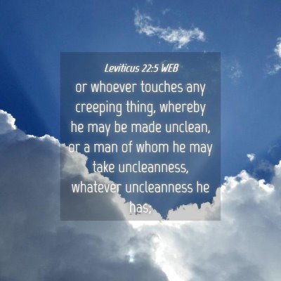 Picture 04 - Leviticus 22:5 WEB - or whoever touches any creeping thing, whereby he - Bible Verse Picture