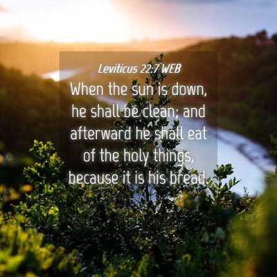 Picture 04 - Leviticus 22:7 WEB - When the sun is down, he shall be clean; and - Bible Verse Picture