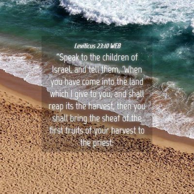 Picture 04 - Leviticus 23:10 WEB - 