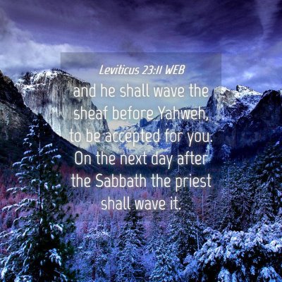 Picture 04 - Leviticus 23:11 WEB - and he shall wave the sheaf before Yahweh, to be - Bible Verse Picture