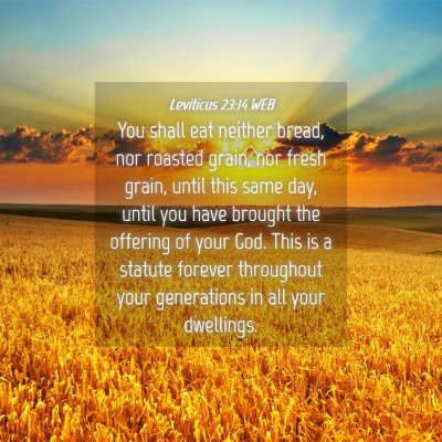 Picture 04 - Leviticus 23:14 WEB - You shall eat neither bread, nor roasted grain, - Bible Verse Picture