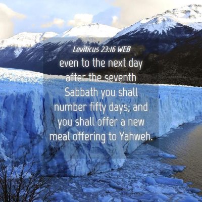 Picture 04 - Leviticus 23:16 WEB - even to the next day after the seventh Sabbath - Bible Verse Picture