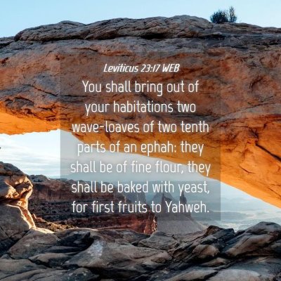 Picture 04 - Leviticus 23:17 WEB - You shall bring out of your habitations two - Bible Verse Picture
