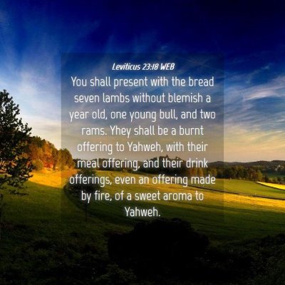 Picture 04 - Leviticus 23:18 WEB - You shall present with the bread seven lambs - Bible Verse Picture