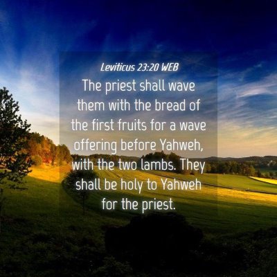 Picture 04 - Leviticus 23:20 WEB - The priest shall wave them with the bread of the - Bible Verse Picture