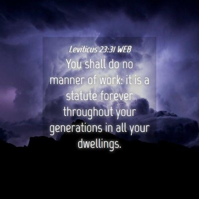Picture 04 - Leviticus 23:31 WEB - You shall do no manner of work: it is a statute - Bible Verse Picture