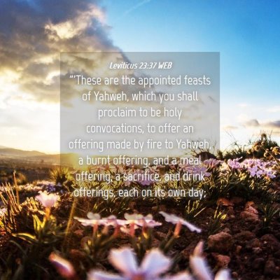 Picture 04 - Leviticus 23:37 WEB - 