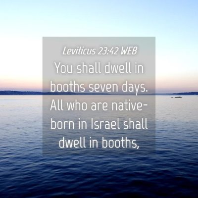 Picture 04 - Leviticus 23:42 WEB - You shall dwell in booths seven days. All who are - Bible Verse Picture