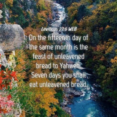 Picture 04 - Leviticus 23:6 WEB - On the fifteenth day of the same month is the - Bible Verse Picture