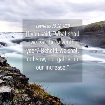 Picture 04 - Leviticus 25:20 WEB - If you said, 