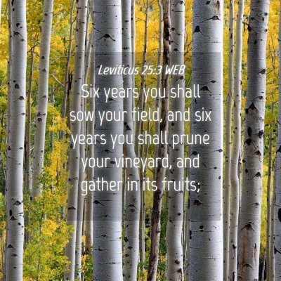 Picture 04 - Leviticus 25:3 WEB - Six years you shall sow your field, and six years - Bible Verse Picture