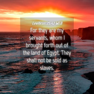 Picture 04 - Leviticus 25:42 WEB - For they are my servants, whom I brought forth - Bible Verse Picture