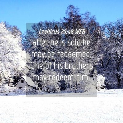 Picture 04 - Leviticus 25:48 WEB - after he is sold he may be redeemed. One of his - Bible Verse Picture