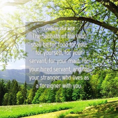 Picture 04 - Leviticus 25:6 WEB - The Sabbath of the land shall be for food for - Bible Verse Picture