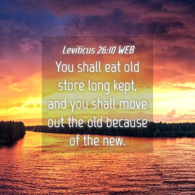 Picture 04 - Leviticus 26:10 WEB - You shall eat old store long kept, and you shall - Bible Verse Picture