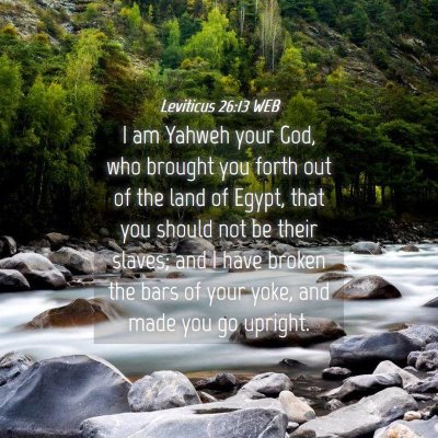 Picture 04 - Leviticus 26:13 WEB - I am Yahweh your God, who brought you forth out - Bible Verse Picture