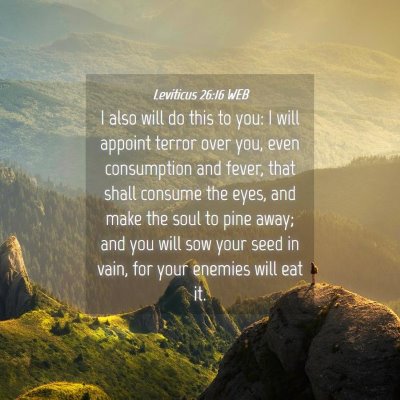 Picture 04 - Leviticus 26:16 WEB - I also will do this to you: I will appoint terror - Bible Verse Picture