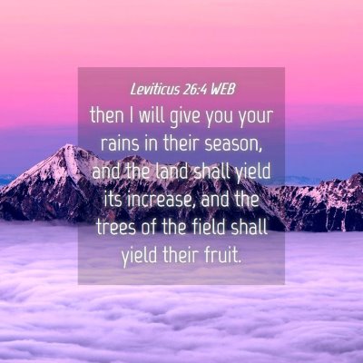 Picture 04 - Leviticus 26:4 WEB - then I will give you your rains in their season, - Bible Verse Picture