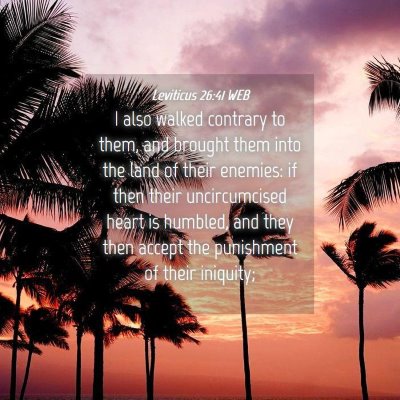 Picture 04 - Leviticus 26:41 WEB - I also walked contrary to them, and brought them - Bible Verse Picture