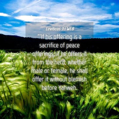 Picture 04 - Leviticus 3:1 WEB - 