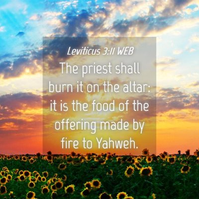 Picture 04 - Leviticus 3:11 WEB - The priest shall burn it on the altar: it is the - Bible Verse Picture