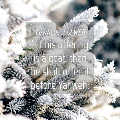 Picture 04 - Leviticus 3:12 WEB - 