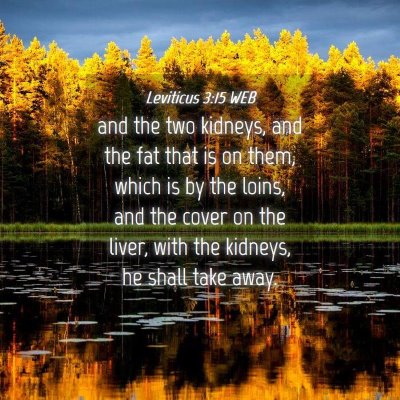 Picture 04 - Leviticus 3:15 WEB - and the two kidneys, and the fat that is on them, - Bible Verse Picture