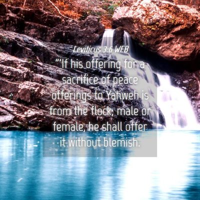 Picture 04 - Leviticus 3:6 WEB - 