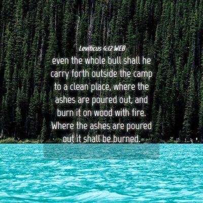 Picture 04 - Leviticus 4:12 WEB - even the whole bull shall he carry forth outside - Bible Verse Picture
