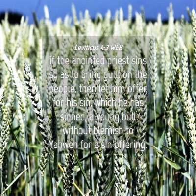Picture 04 - Leviticus 4:3 WEB - if the anointed priest sins so as to bring guilt - Bible Verse Picture