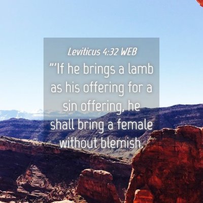 Picture 04 - Leviticus 4:32 WEB - 
