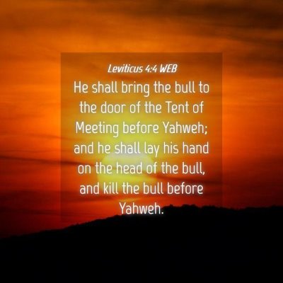 Picture 04 - Leviticus 4:4 WEB - He shall bring the bull to the door of the Tent - Bible Verse Picture