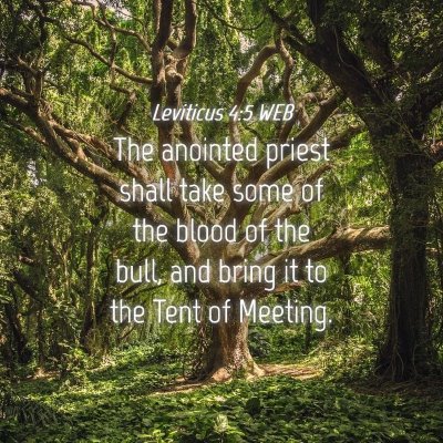 Picture 04 - Leviticus 4:5 WEB - The anointed priest shall take some of the blood - Bible Verse Picture
