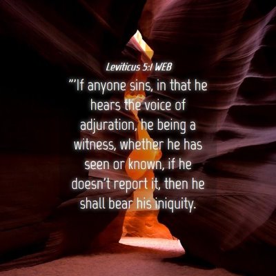 Picture 04 - Leviticus 5:1 WEB - 