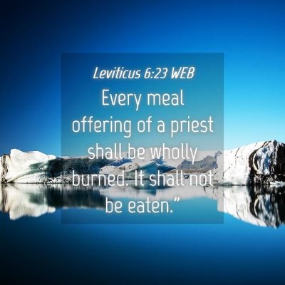 Picture 04 - Leviticus 6:23 WEB - Every meal offering of a priest shall be wholly - Bible Verse Picture