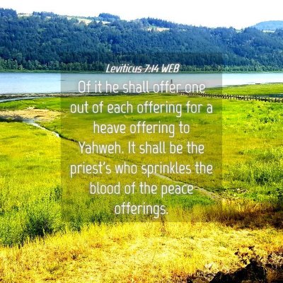 Picture 04 - Leviticus 7:14 WEB - Of it he shall offer one out of each offering for - Bible Verse Picture