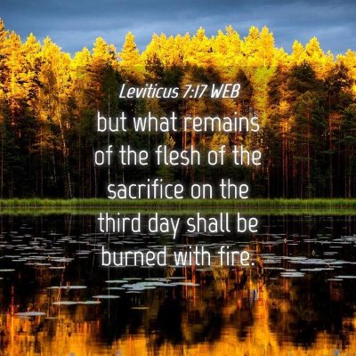 Picture 04 - Leviticus 7:17 WEB - but what remains of the flesh of the sacrifice on - Bible Verse Picture