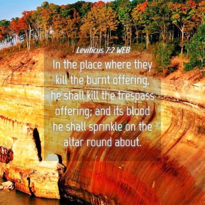 Picture 04 - Leviticus 7:2 WEB - In the place where they kill the burnt offering, - Bible Verse Picture