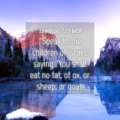 Picture 04 - Leviticus 7:23 WEB - 