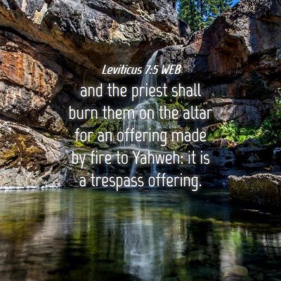 Picture 04 - Leviticus 7:5 WEB - and the priest shall burn them on the altar for - Bible Verse Picture