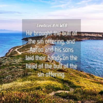 Picture 04 - Leviticus 8:14 WEB - He brought the bull of the sin offering, and - Bible Verse Picture