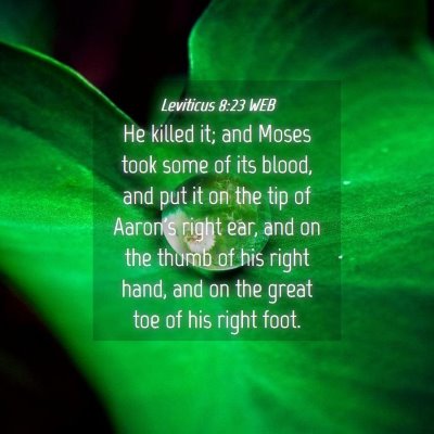 Picture 04 - Leviticus 8:23 WEB - He killed it; and Moses took some of its blood, - Bible Verse Picture