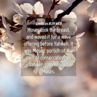 Picture 04 - Leviticus 8:29 WEB - Moses took the breast, and waved it for a wave - Bible Verse Picture