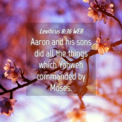 Picture 04 - Leviticus 8:36 WEB - Aaron and his sons did all the things which - Bible Verse Picture
