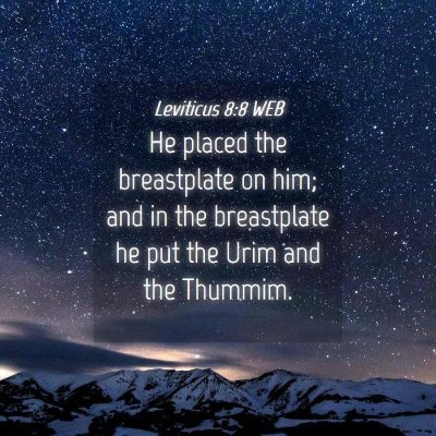 Picture 04 - Leviticus 8:8 WEB - He placed the breastplate on him; and in the - Bible Verse Picture