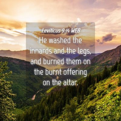 Picture 04 - Leviticus 9:14 WEB - He washed the innards and the legs, and burned - Bible Verse Picture