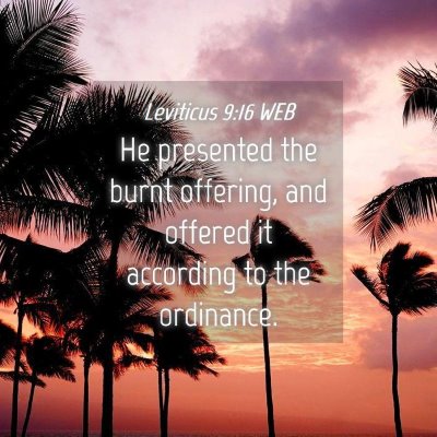 Picture 04 - Leviticus 9:16 WEB - He presented the burnt offering, and offered it - Bible Verse Picture