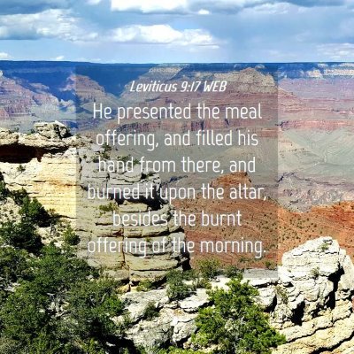 Picture 04 - Leviticus 9:17 WEB - He presented the meal offering, and filled his - Bible Verse Picture
