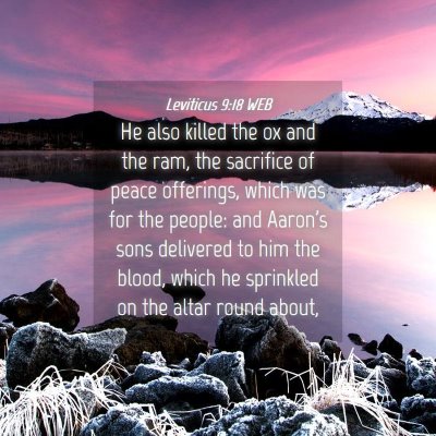 Picture 04 - Leviticus 9:18 WEB - He also killed the ox and the ram, the sacrifice - Bible Verse Picture