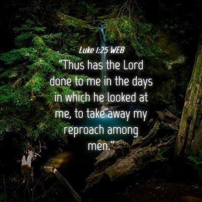 Picture 04 - Luke 1:25 WEB - 